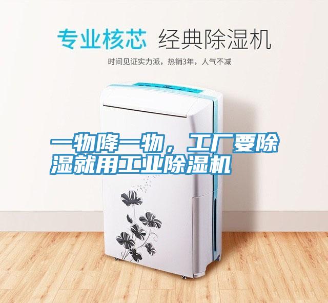 一物降一物，工厂要除湿就用工业91免费网站在线观看