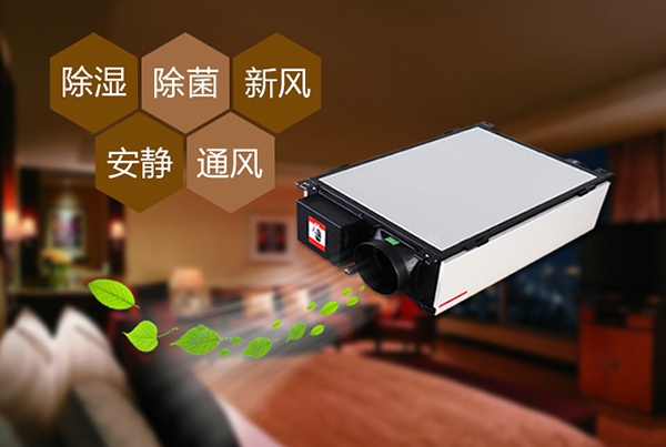 哈密瓜烘干91免费网站在线观看