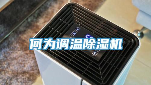 何为调温91免费网站在线观看