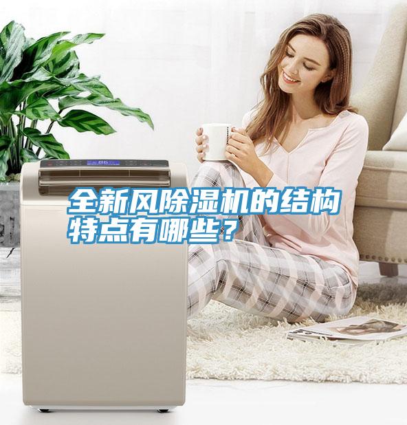 全新风91免费网站在线观看的结构特点有哪些？