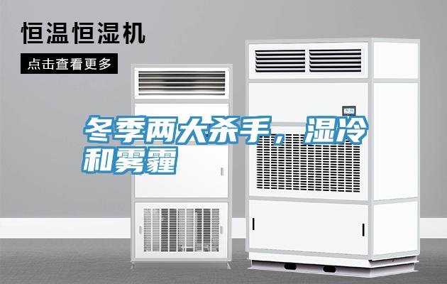 冬季两大杀手，湿冷和雾霾