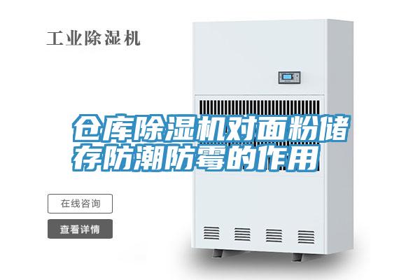 仓库91免费网站在线观看对面粉储存防潮防霉的作用