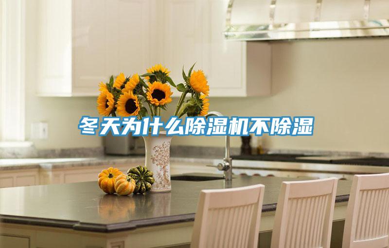 冬天为什么91免费网站在线观看不除湿