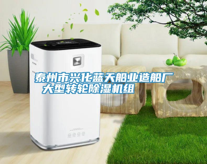 泰州市兴化蓝天船业造船厂 大型转轮91免费网站在线观看组