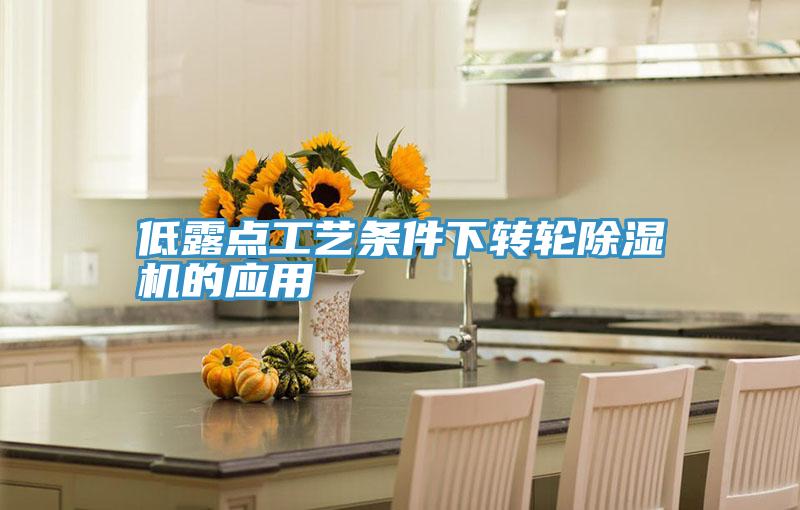 低露点工艺条件下转轮91免费网站在线观看的应用