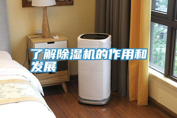 了解91免费网站在线观看的作用和发展