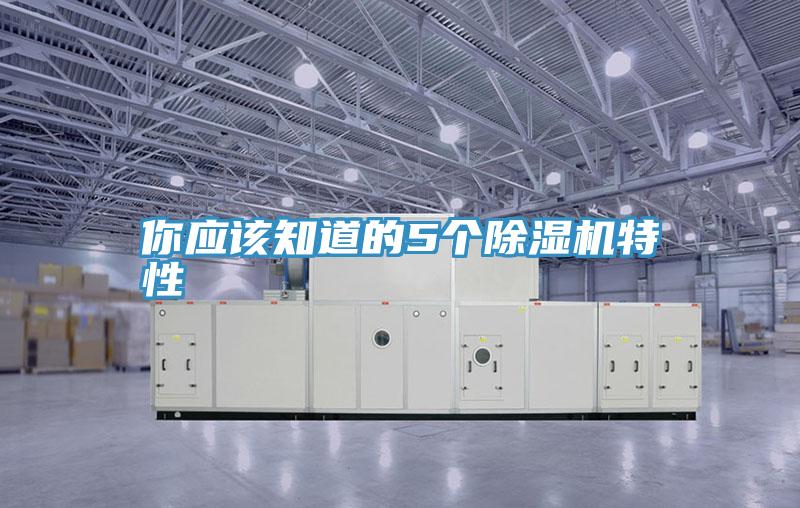 你应该知道的5个91免费网站在线观看特性
