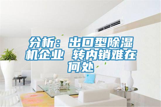 分析：出口型91免费网站在线观看企业 转内销难在何处