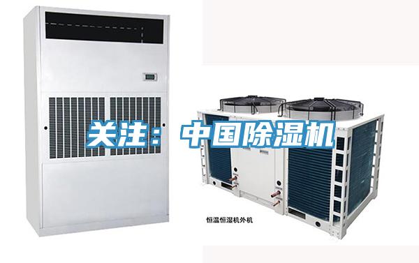 关注：中国91免费网站在线观看