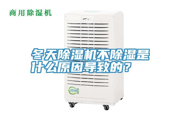 冬天91免费网站在线观看不除湿是什么原因导致的？