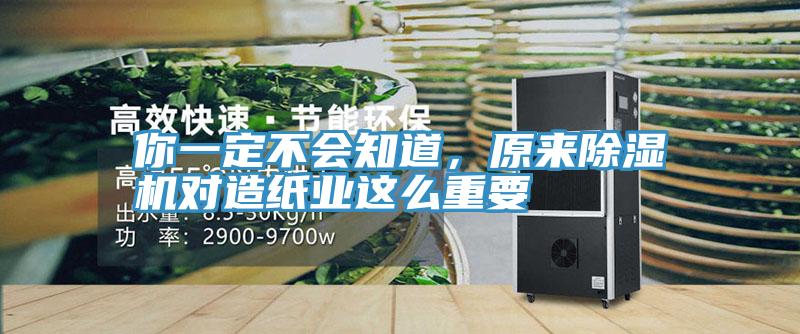 你一定不会知道，原来91免费网站在线观看对造纸业这么重要