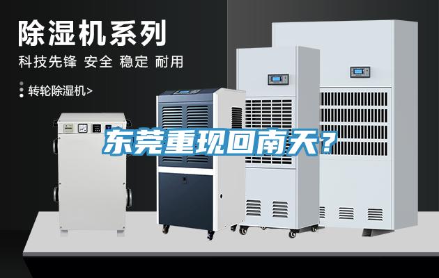 东莞重现回南天？
