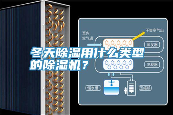 冬天除湿用什么类型的91免费网站在线观看？