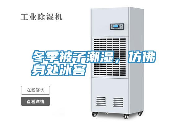 冬季被子潮湿，仿佛身处冰窖