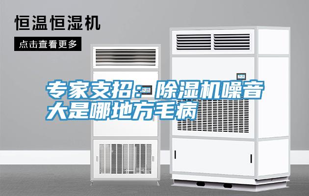 专家支招：91免费网站在线观看噪音大是哪地方毛病