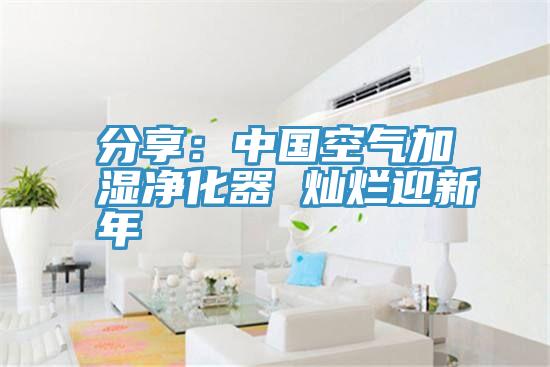 分享：中国空气加湿净化器 灿烂迎新年