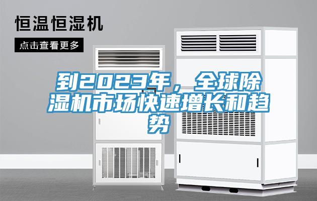 到2023年，全球91免费网站在线观看市场快速增长和趋势