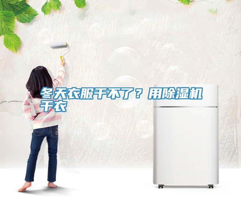 冬天衣服干不了？用91免费网站在线观看干衣