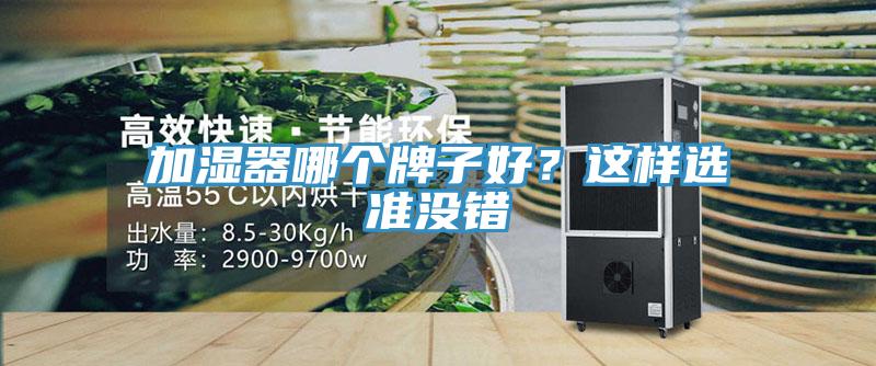 加湿器哪个牌子好？这样选准没错