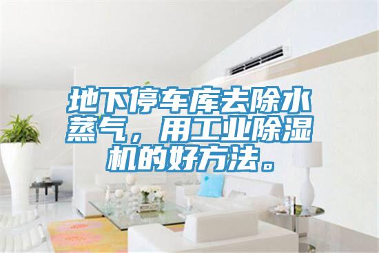 地下停车库去除水蒸气，用工业91免费网站在线观看的好方法。