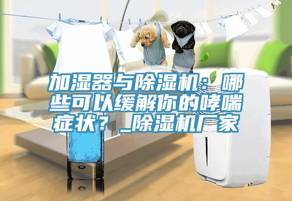 加湿器与91免费网站在线观看：哪些可以缓解你的哮喘症状？_91免费网站在线观看厂家