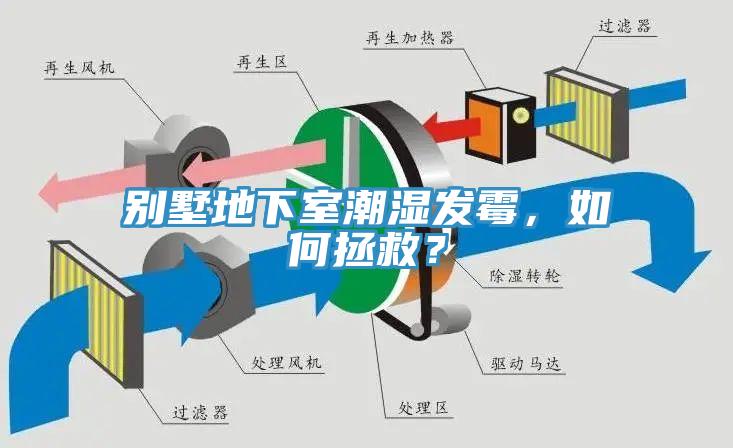 别墅地下室潮湿发霉，如何拯救？