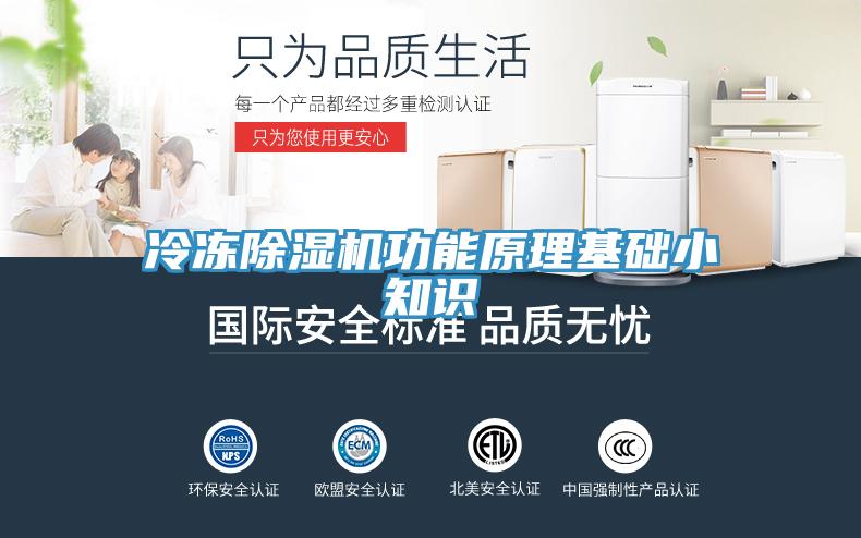 冷冻91免费网站在线观看功能原理基础小知识