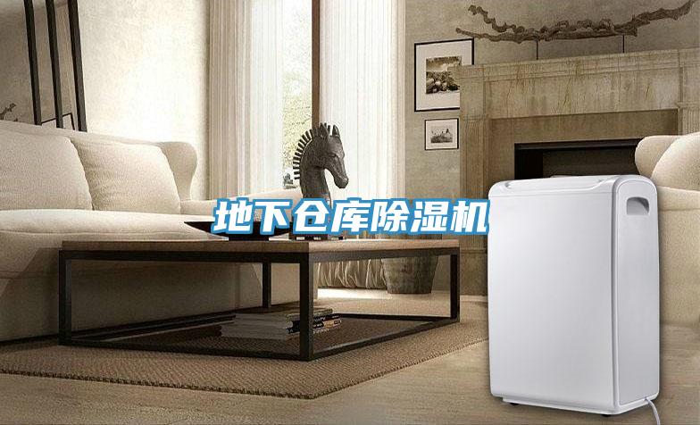 地下仓库91免费网站在线观看