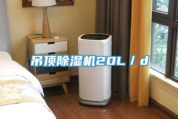 吊顶91免费网站在线观看20L／d
