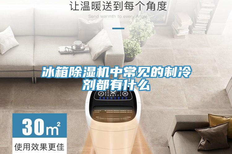 冰箱91免费网站在线观看中常见的制冷剂都有什么