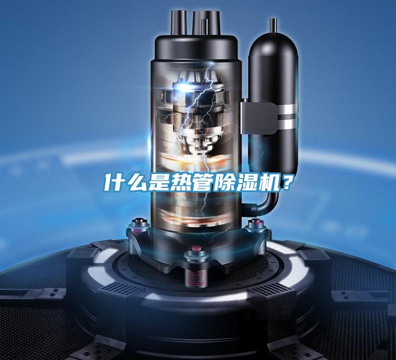 什么是热管91免费网站在线观看？