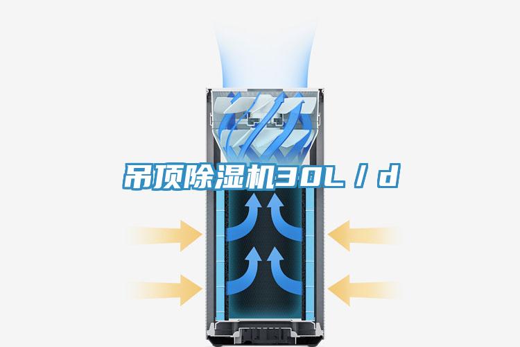 吊顶91免费网站在线观看30L／d