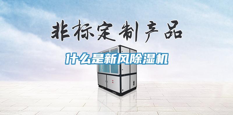 什么是新风91免费网站在线观看