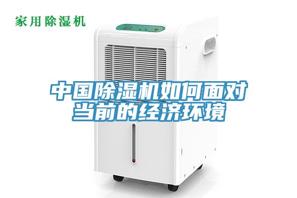 中国91免费网站在线观看如何面对当前的经济环境