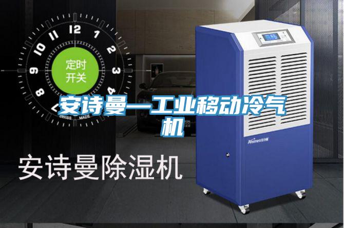 91免费看黄片—工业移动冷气机