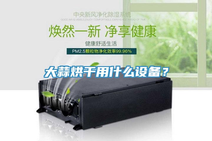 大蒜烘干用什么设备？