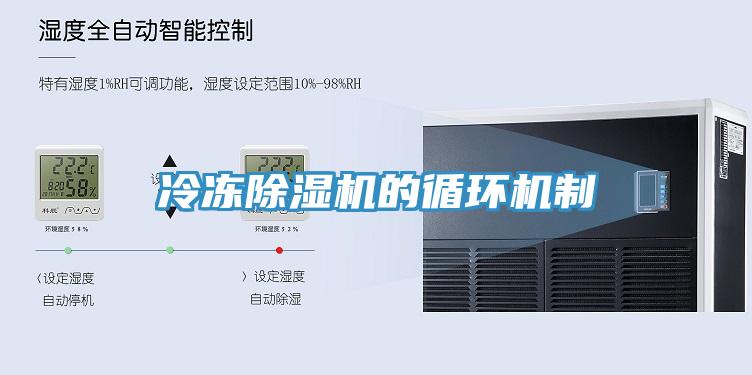 冷冻91免费网站在线观看的循环机制