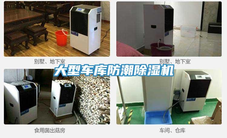 大型车库防潮91免费网站在线观看