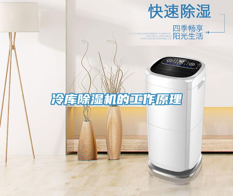 冷库91免费网站在线观看的工作原理