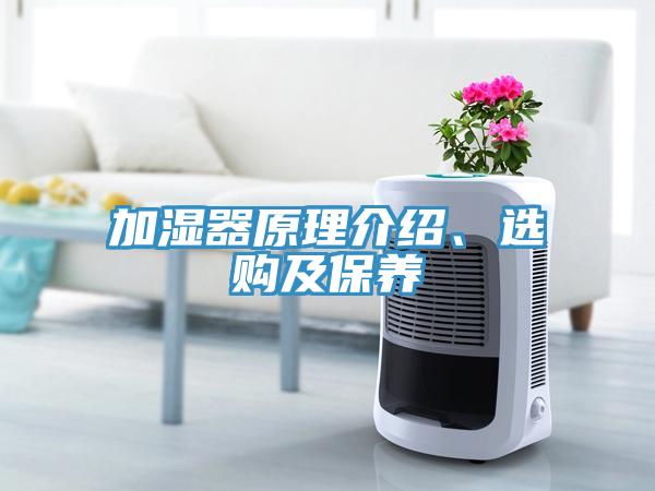 加湿器原理介绍、选购及保养