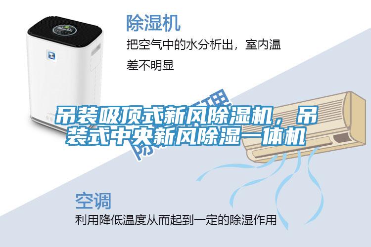 吊装吸顶式新风91免费网站在线观看，吊装式中央新风除湿一体机