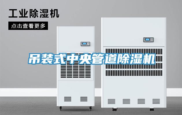 吊装式中央管道91免费网站在线观看