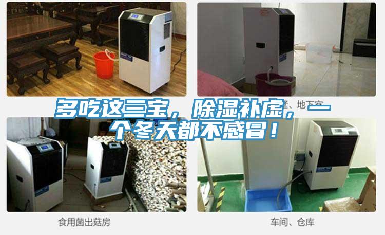 多吃这三宝，除湿补虚，一个冬天都不感冒！