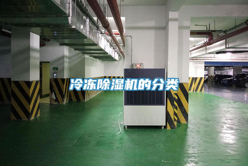 冷冻91免费网站在线观看的分类