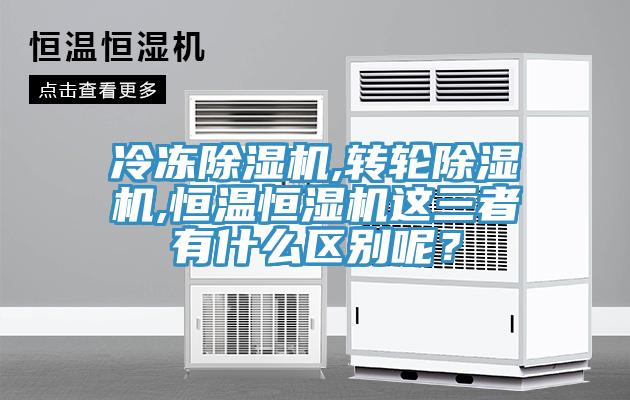 冷冻91免费网站在线观看,转轮91免费网站在线观看,恒温恒湿机这三者有什么区别呢？