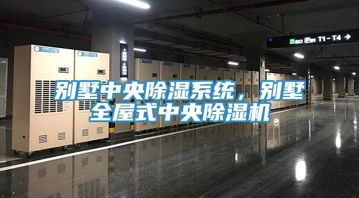 别墅中央除湿系统，别墅全屋式中央91免费网站在线观看
