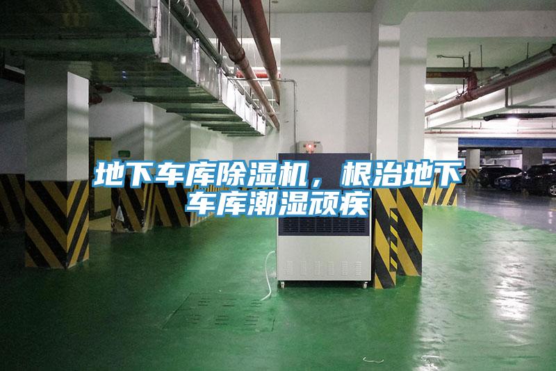 地下车库91免费网站在线观看，根治地下车库潮湿顽疾