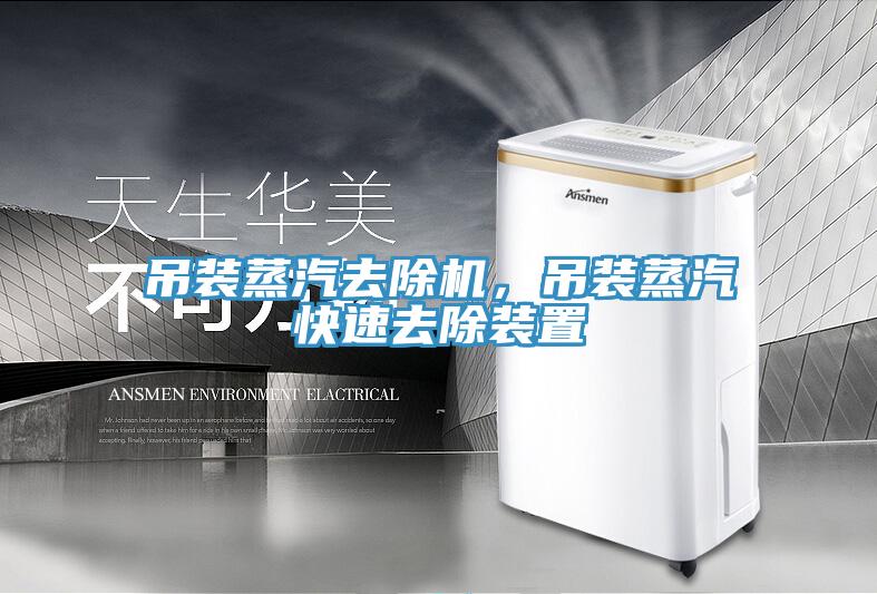 吊装蒸汽去除机，吊装蒸汽快速去除装置