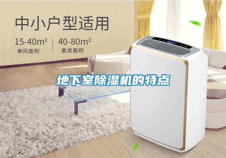 地下室91免费网站在线观看的特点