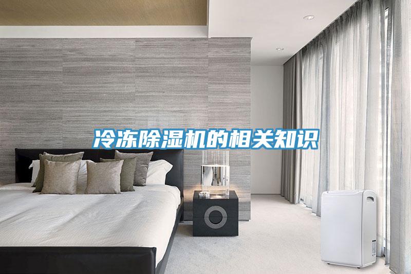 冷冻91免费网站在线观看的相关知识